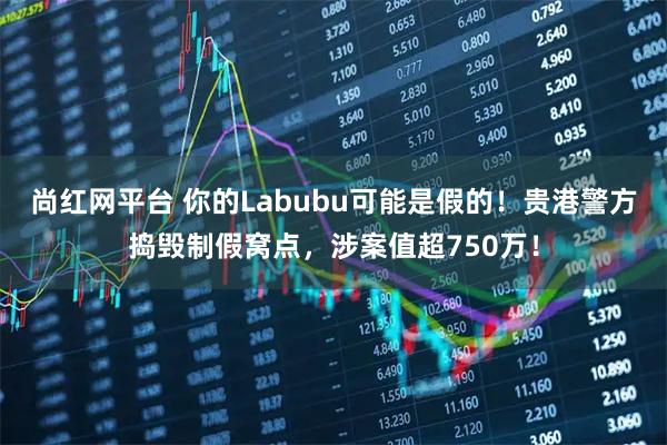 尚红网平台 你的Labubu可能是假的!贵港警方捣毁制假窝点,涉案值超750万!