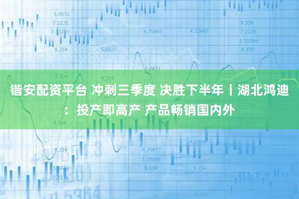 锴安配资平台 冲刺三季度 决胜下半年丨湖北鸿迪：投产即高产 产品畅销国内外