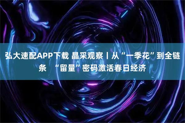 弘大速配APP下载 晶采观察丨从“一季花”到全链条   “留量”密码激活春日经济