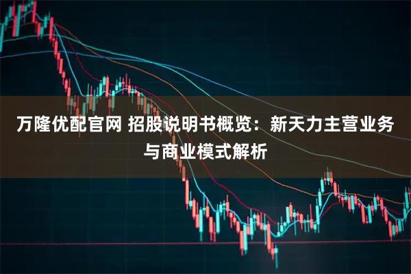万隆优配官网 招股说明书概览：新天力主营业务与商业模式解析